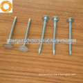 2013 China good hot dip galvanized flat head roofing nails